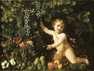 Hrozny na vinné révě, granátová jablka, hrozny a šípky v košíku, s fíky, jablky, hruškami a kaštany puttem od Master of the Acquavella Still Life