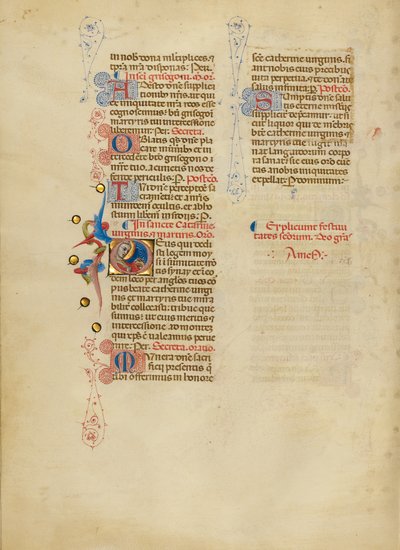 Počáteční D: Svatá Kateřina od Master of the Brussels Initials