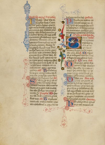 Počáteční S: Holubice Ducha svatého od Master of the Brussels Initials