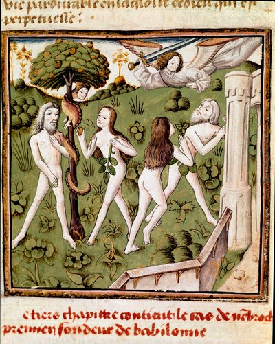 Adam a Eva sbírají obraněnou miniaturu ovoce Mistra šampiona dam (15. století) z rukopisu „Des hommes illustres““ od Giovanniho Boccaccia (Jean Boccaccio) (1313-1375). 15. století. Carpentras. Inguimbertinská knihovna od Master of the Champion des Dames