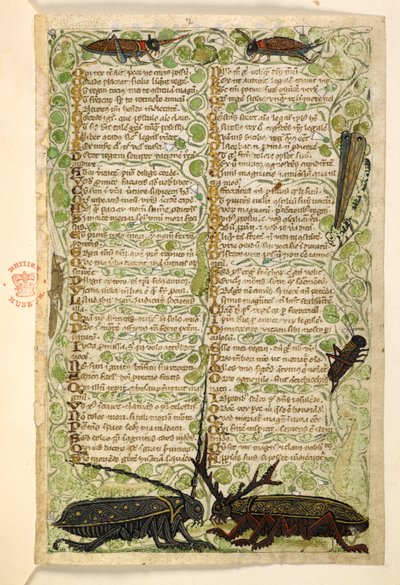 Přidat. 28841, f.2: Rohatí brouci, cvrčci a lokus.  Pojednání o ctnostech a neřestech a anonymní prozaická historie Sicílie (fragment)  Cocharelli od Master of the Cocharelli Codex