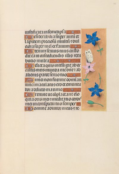 Hodiny královny Isabely Katolické, královny Španělska: Fol. 102r, c. 1500. od Master of the First Prayerbook of Maximillian