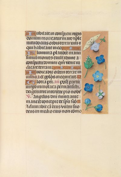 Hodiny královny Isabely Katolické, královny Španělska: Fol. 110r, c. 1500. od Master of the First Prayerbook of Maximillian