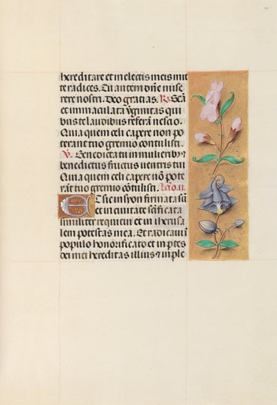 Hodiny královny Isabely Katolické, královny Španělska: Fol. 111r, c. 1500. od Master of the First Prayerbook of Maximillian
