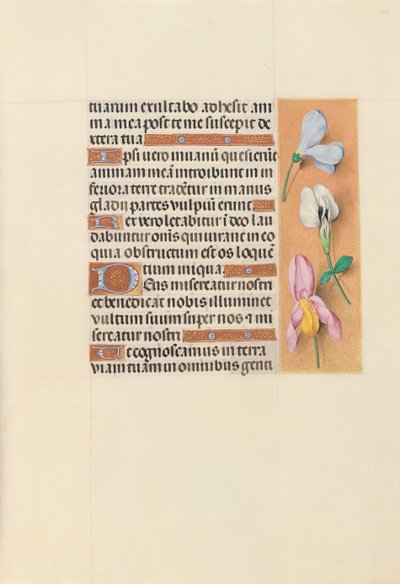 Hodiny královny Isabely Katolické, královny Španělska: Fol. 118r, c. 1500. od Master of the First Prayerbook of Maximillian