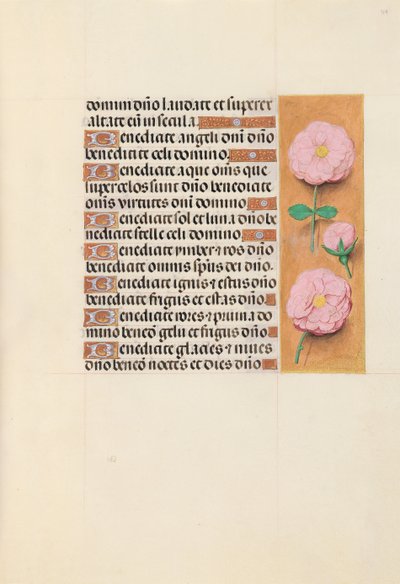 Hodiny královny Isabely Katolické, královny Španělska: Fol. 119r, c. 1500. od Master of the First Prayerbook of Maximillian