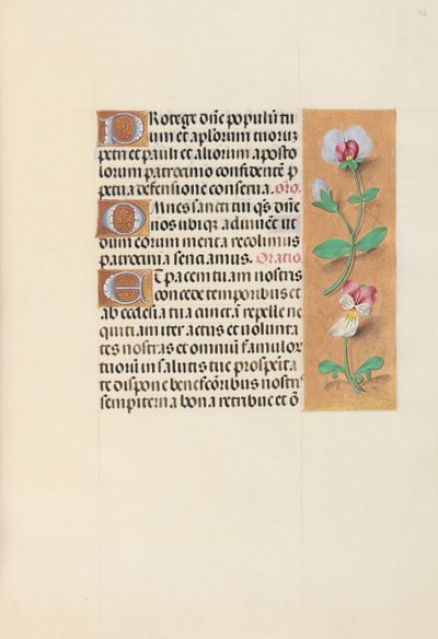 Hodiny královny Isabely Katolické, královny Španělska: Fol. 125r, c. 1500. od Master of the First Prayerbook of Maximillian