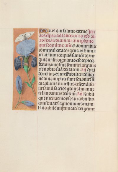 Hodiny královny Isabely Katolické, královny Španělska: Fol. 165v, c. 1500. od Master of the First Prayerbook of Maximillian