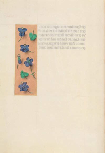 Hodiny královny Isabely Katolické, královny Španělska: Fol. 16v, krátký okraj, c. 1500. od Master of the First Prayerbook of Maximillian