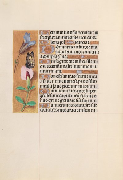 Hodiny královny Isabely Katolické, královny Španělska: Fol. 202v, c. 1500. od Master of the First Prayerbook of Maximillian