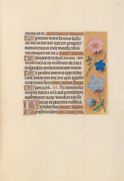 Hodiny královny Isabely Katolické, královny Španělska: Fol. 210r, c. 1500. od Master of the First Prayerbook of Maximillian