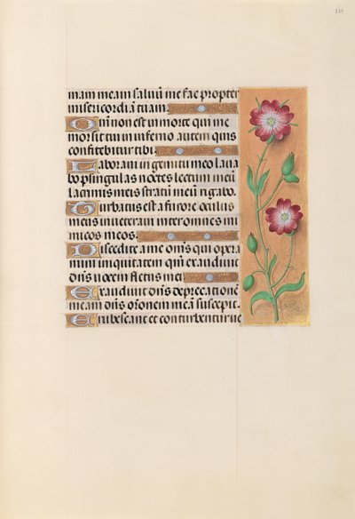 Hodiny královny Isabely Katolické, královny Španělska: Fol. 229r, c. 1500. od Master of the First Prayerbook of Maximillian