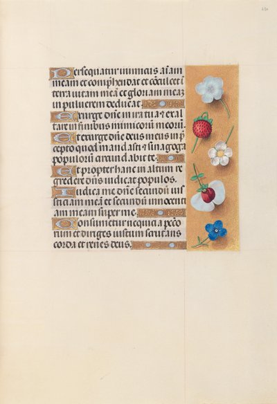 Hodiny královny Isabely Katolické, královny Španělska: Fol. 230r, c. 1500. od Master of the First Prayerbook of Maximillian