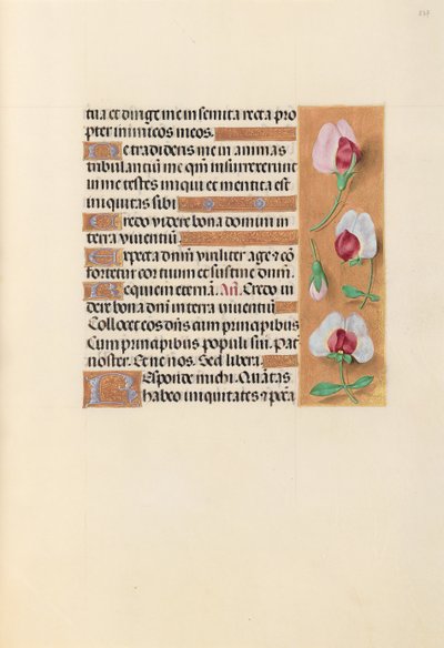 Hodiny královny Isabely Katolické, královny Španělska: Fol. 237r, c. 1500. od Master of the First Prayerbook of Maximillian
