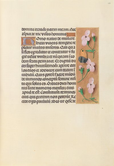 Hodiny královny Isabely Katolické, královny Španělska: Fol. 238r, c. 1500. od Master of the First Prayerbook of Maximillian