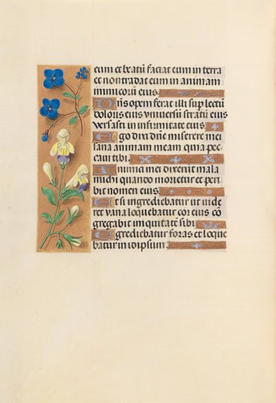 Hodiny královny Isabely Katolické, královny Španělska: Fol. 241v, c. 1500. od Master of the First Prayerbook of Maximillian