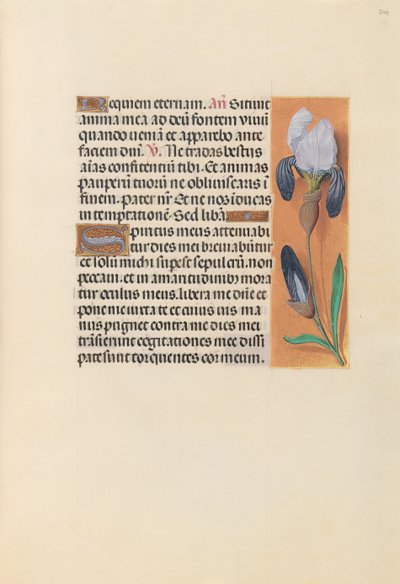 Hodiny královny Isabely Katolické, královny Španělska: Fol. 244r, c. 1500. od Master of the First Prayerbook of Maximillian