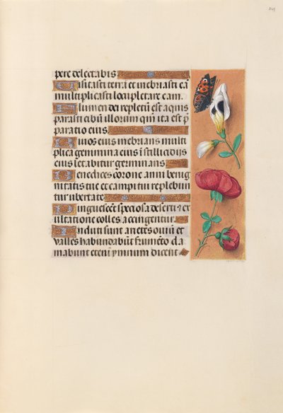 Hodiny královny Isabely Katolické, královny Španělska: Fol. 249r, c. 1500. od Master of the First Prayerbook of Maximillian