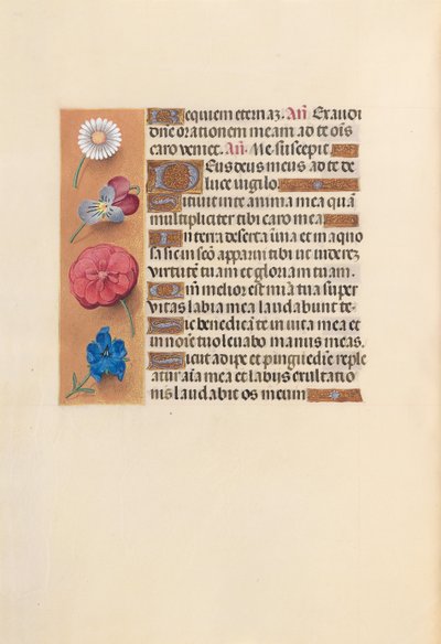 Hodiny královny Isabely Katolické, královny Španělska: Fol. 249v, c. 1500. od Master of the First Prayerbook of Maximillian