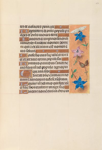 Hodiny královny Isabely Katolické, královny Španělska: Fol. 253r, c. 1500. od Master of the First Prayerbook of Maximillian