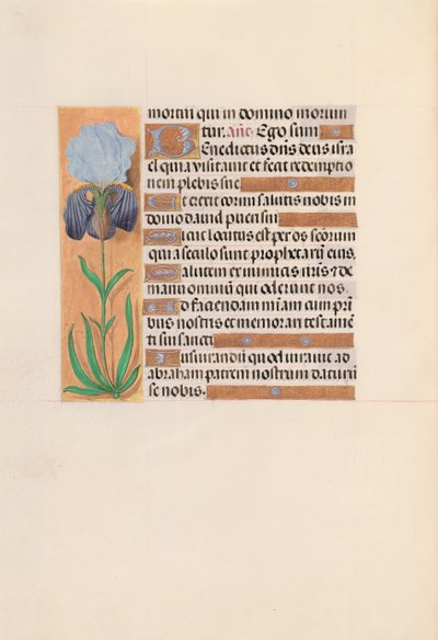 Hodiny královny Isabely Katolické, královny Španělska: Fol. 254v, c. 1500. od Master of the First Prayerbook of Maximillian