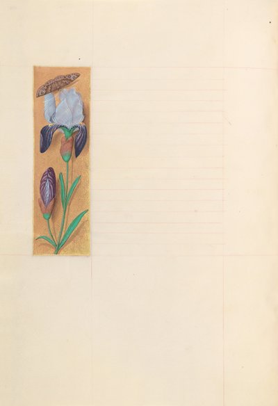 Hodiny královny Isabely Katolické, královny Španělska: Fol. 277v, c. 1500. od Master of the First Prayerbook of Maximillian