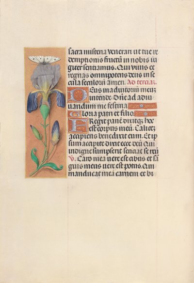 Hodiny královny Isabely Katolické, královny Španělska: Fol. 45V, c. 1500. od Master of the First Prayerbook of Maximillian