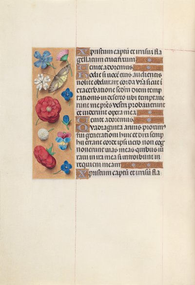 Hodiny královny Isabely Katolické, královny Španělska: Fol. 51v, c. 1500. od Master of the First Prayerbook of Maximillian