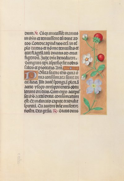 Hodiny královny Isabely Katolické, královny Španělska: Fol. 55r, c. 1500. od Master of the First Prayerbook of Maximillian