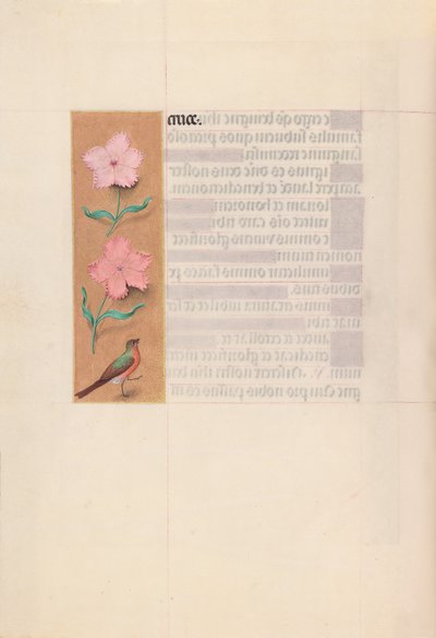 Hodiny španělské královny Isabely Katolické:  Fol. 56v od Master of the First Prayerbook of Maximillian