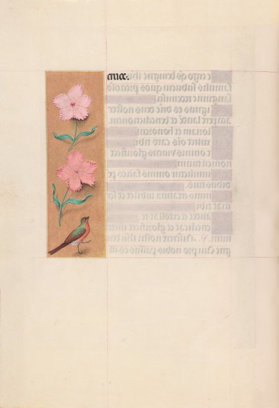 Hodiny královny Isabely Katolické, královny Španělska: Fol. 56v, c. 1500. od Master of the First Prayerbook of Maximillian