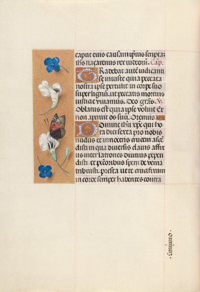 Hodiny španělské královny Isabely Katolické:  Fol. 67v od Master of the First Prayerbook of Maximillian