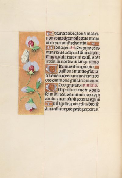 Hodiny královny Isabely Katolické, královny Španělska: Fol. 74v, c. 1500. od Master of the First Prayerbook of Maximillian