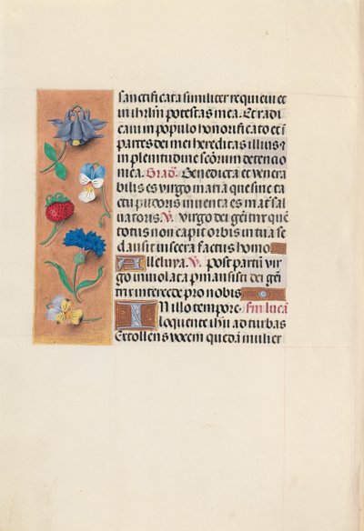 Hodiny královny Isabely Katolické, královny Španělska: Fol. 90v, c. 1500. od Master of the First Prayerbook of Maximillian