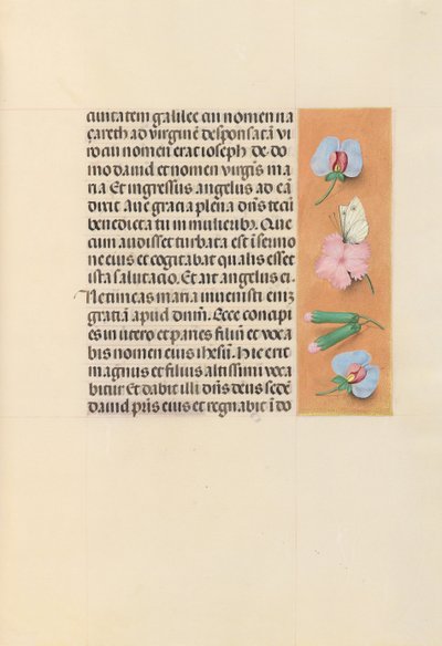 Hodiny královny Isabely Katolické, královny Španělska: Fol. 94r, c. 1500. od Master of the First Prayerbook of Maximillian