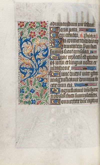 Kniha hodin Použití Rouen: fol. 67v, c. 1470. od Master of the Geneva Latini