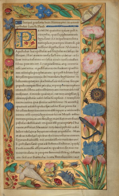 Zdobená textová stránka od Master of the Getty Epistles