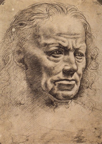 Hlava muže od Master of the Pala Sforzesca