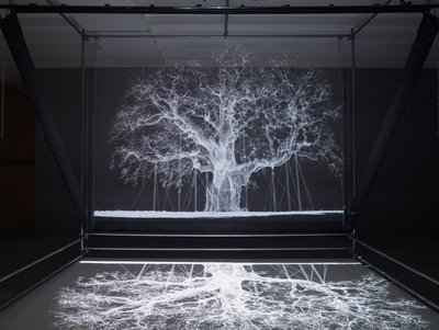 Albion, 2017 (projektor, přehrávač médií, lešení, průhledná fólie, dřevo, barva, zrcadlo, natahovací příslušenství) od Mat Collishaw