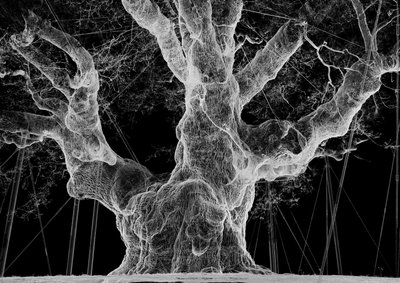 Albion, 2017 (projektor, přehrávač médií, lešení, průhledná fólie, dřevo, barva, zrcadlo, natahovací příslušenství) od Mat Collishaw