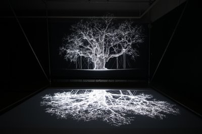 Albion na výstavě Mata Collishawa "Petrichor" v Kew Gardens v Londýně, 2023 (foto) od Mat Collishaw