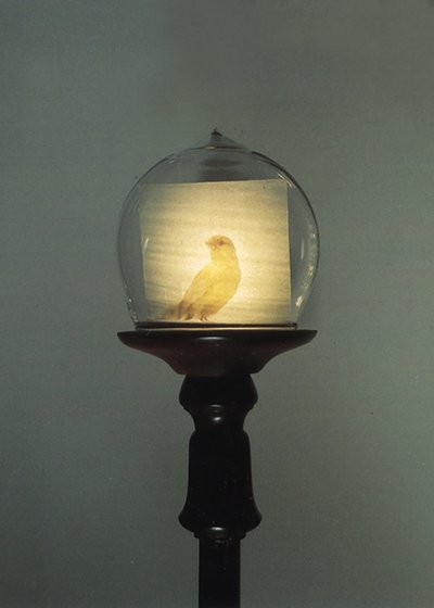 Starožitnosti od Mat Collishaw