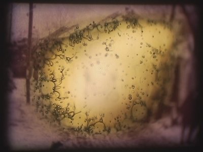 Barbarossa, 2002 (videoprojektor a simulovaný diaprojektor) od Mat Collishaw
