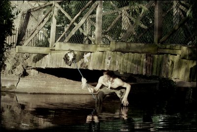 Chytání víl 1 od Mat Collishaw
