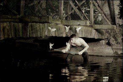 Chytání víl 4 od Mat Collishaw