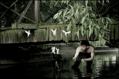 Chytání víl 6 od Mat Collishaw