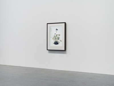 Columbine, 2018 (dřevěný rám, rámeček, LCD obrazovka, ventilátor a přehrávač médií) od Mat Collishaw