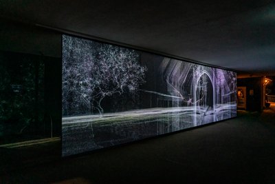 Echolokace, 2021 (tříkanálová videoprojekce na polypropylenové síti) od Mat Collishaw
