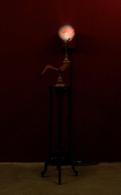 Trubač, 2002 (sklo, voda, mosaz, beraní roh, dřevo, videoprojektor a přehrávač) od Mat Collishaw