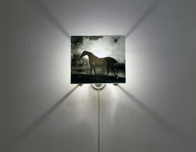 Stubbs Horses od Mat Collishaw